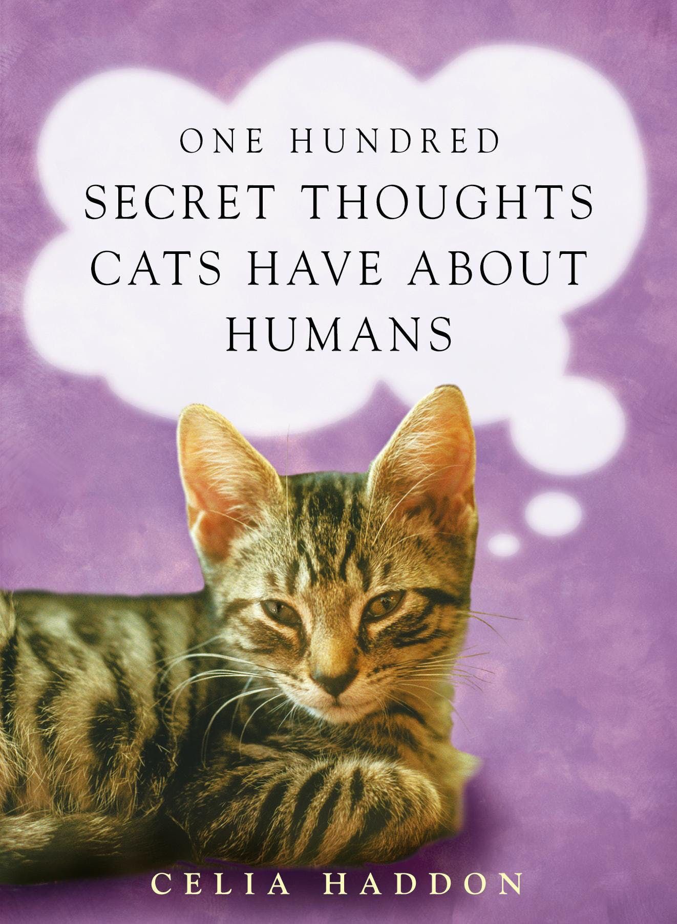 

One Hundred Secret Thoughts Cats have about Humans