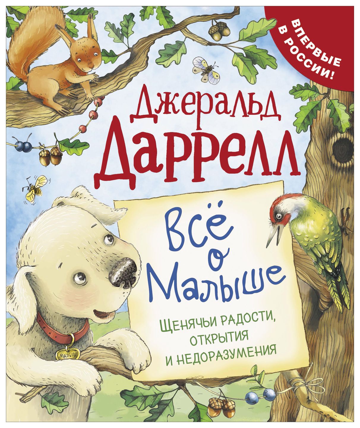 

Все о Малыше (Про щенка)