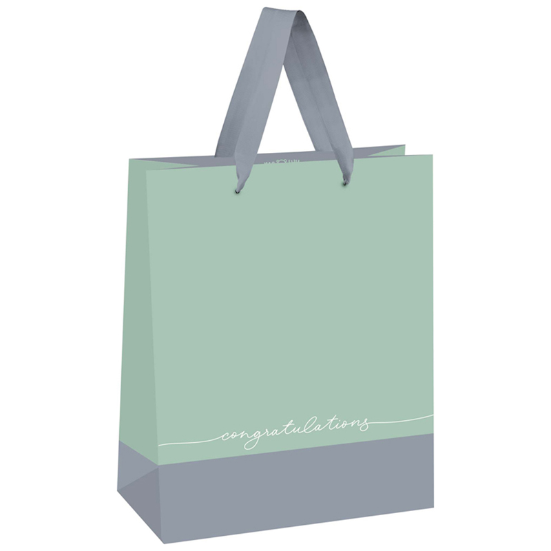 

Пакет подарочный 18*23*10см MESHU «Duotone. Gray-mint»