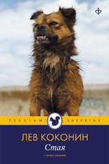 

Стая