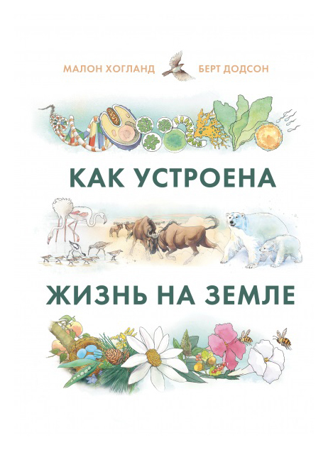 

Как устроена жизнь на Земле