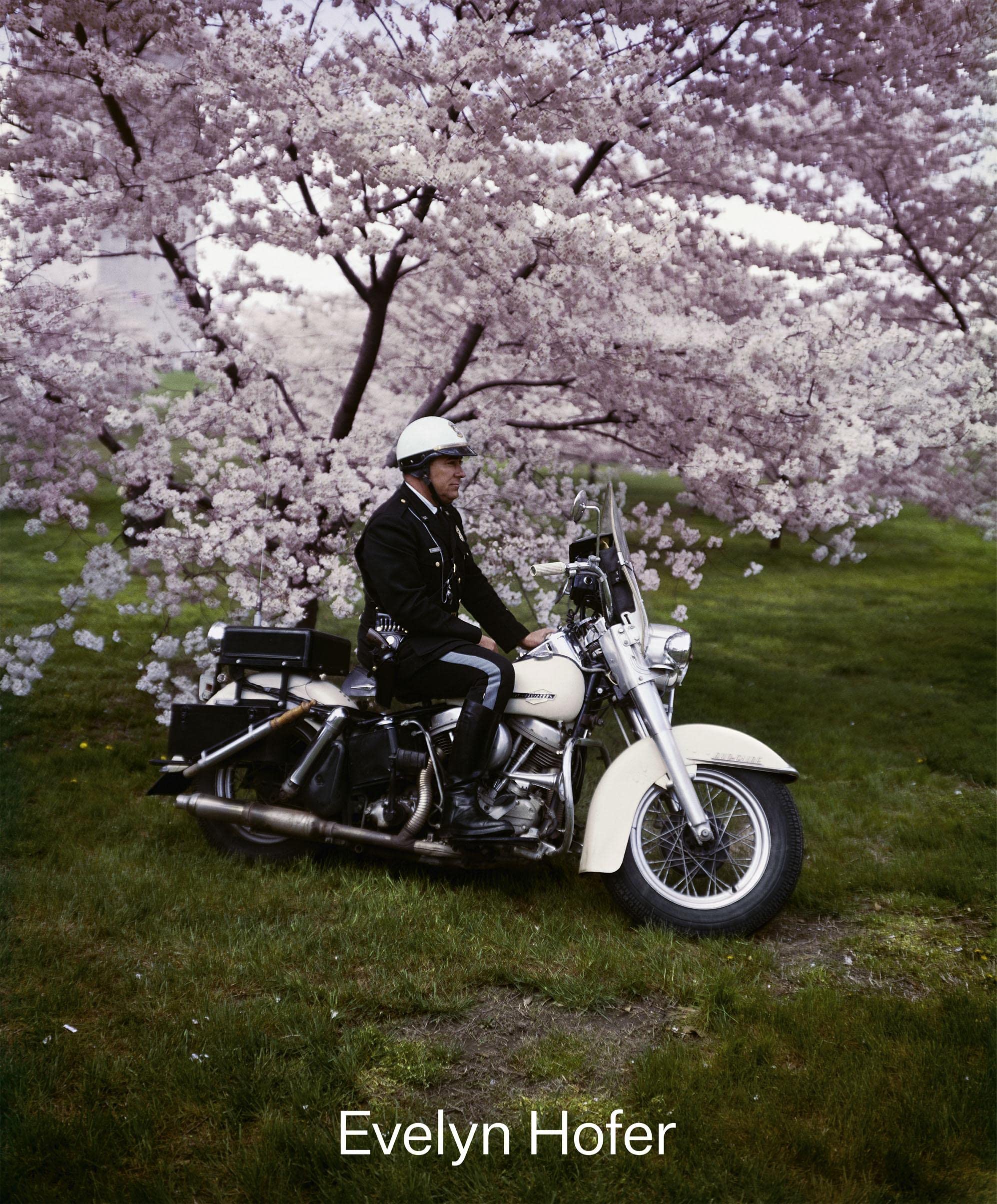 

Evelyn Hofer: Encounters