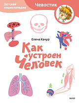 Как устроен человек.  Детская энциклопедия