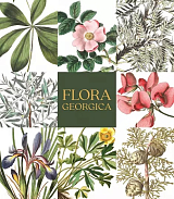 Flora Georgica.  Гербарий на фарфоре