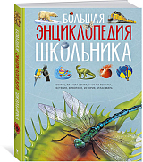 Большая энциклопедия школьника (нов.  оф.  )