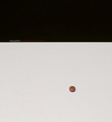 Vadim Gushchin: Everyday Objects / Cultural Treasures