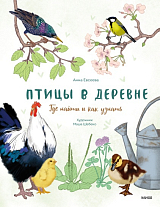 Птицы в деревне.  Где найти и как узнать