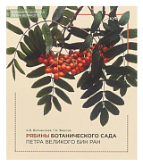 Рябины Ботанического сада Петра Великого