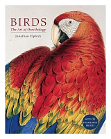 Birds: The Art of Ornithology (Boxed Set)