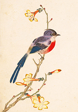 Тетрадь Птицы и насекомые и цветы «Синяя птичка»