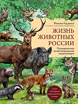Жизнь животных России.  Познавательная иллюстрированная энциклопедия