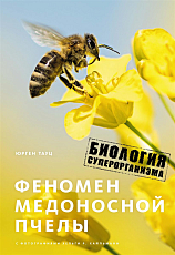 Феномен медоносной пчелы.  Биология суперорганизма