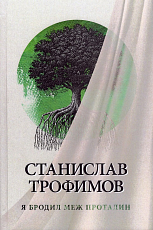 Я бродил меж проталин (16+)