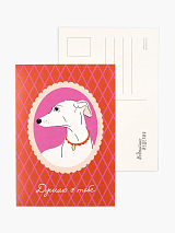 Открытка «Левретка.  Думаю о тебе»