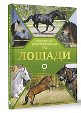 Лошади.  Иллюстрированный гид