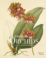 RHS Orchids