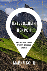 Путеводный нейрон.  Как наш мозг решает пространственные задачи