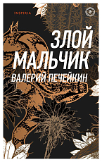Злой мальчик