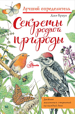 Секреты родной природы.  Дневник маленьких открытий на каждый день