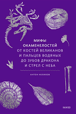 Мифы окаменелостей.  От костей великанов и пальцев водяных до зубов дракона и стрел с неба