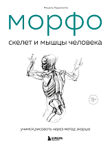 МОРФО.  Скелет и мышцы человека.  Анатомия для художников