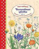 Волшебные цветы.  Мой гербарий