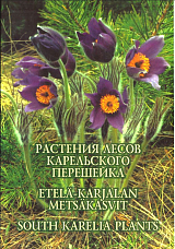Растения лесов Карельского перешейка