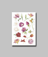 Наклейки Столярова «Flowers stickers 1»