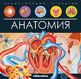 Анатомия.  Книжка-панорамка