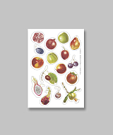 Наклейки Столярова «Fruits stickers 1»