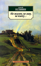 «Не жалею,  не зову,  не плачу.  .  .  »