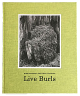 Live Burls: Poaching the Redwoods