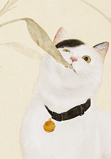 Тетрадь «Котик по кличке Миндаль» 3
