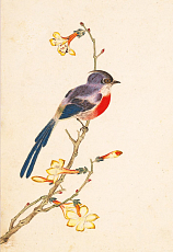 Блокнот Птицы,  насекомые и цветы «Синяя птичка»