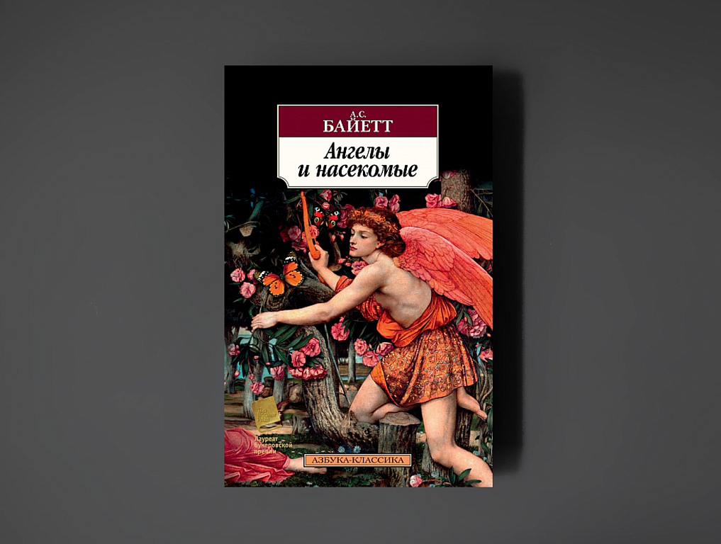 фердинанд де бракелер художник. гранжанр. бывшие люди. грузинский скрипач. жанры живописи.