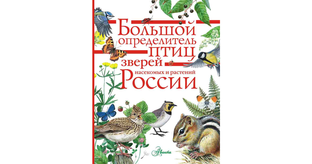 Большая книга птиц. Биология зверей и птиц. Определитель животных. Определитель растений и животных. Животные России. Определитель.